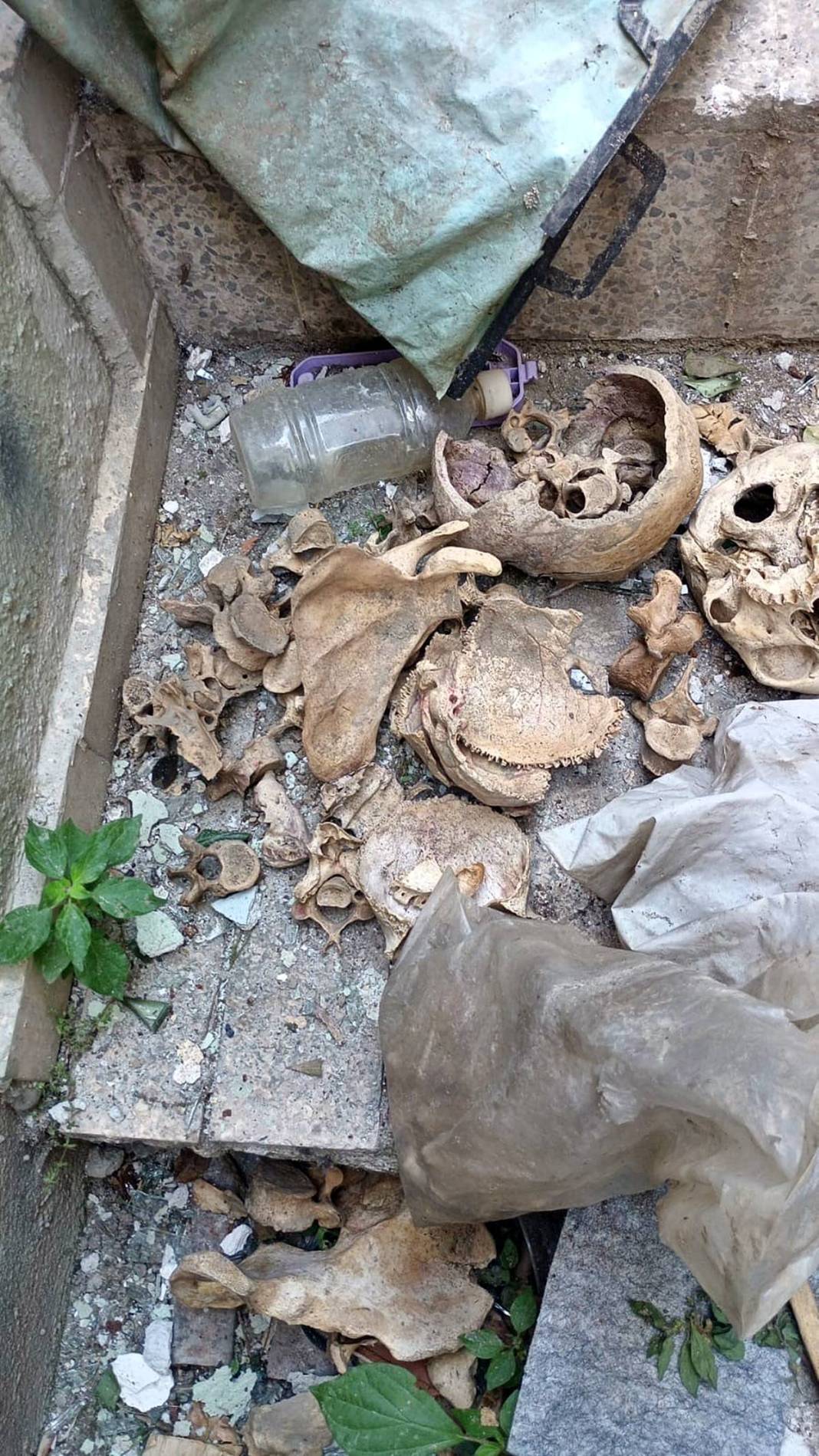 Metruk binada hurda ararken insan iskeleti buldular! Eski doktorun evindeki ürkütücü keşif 3